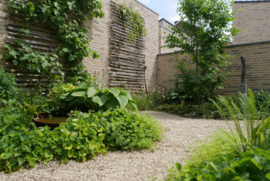 patio tuin grind klimplanten