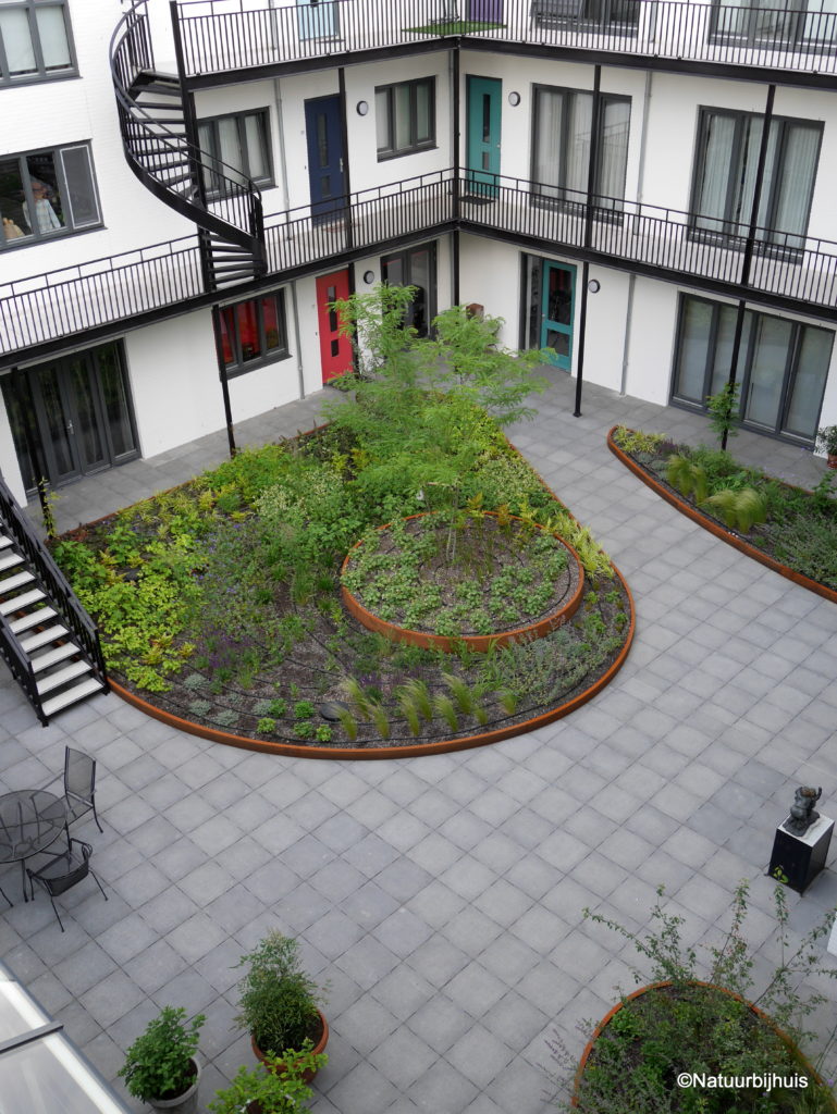 Daktuin Eindhoven ontwerp 'Natuur bij huis'