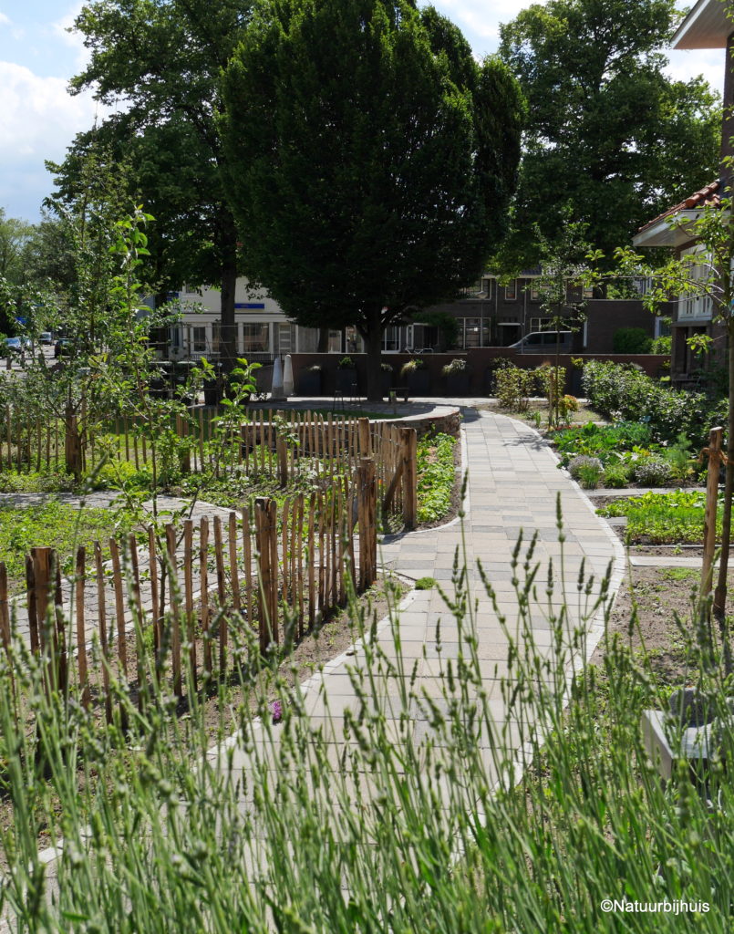 voorbeeld tuinontwerp gezamenlijke tuin CPO voormalig schoolplein