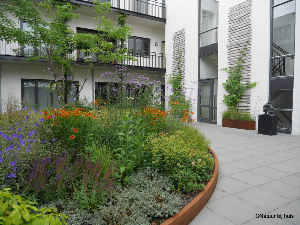 voorbeeld tuinontwerp natuur bij huis de schrijver eindhoven daktuin binnentuin ontworpen door natuur bij huis