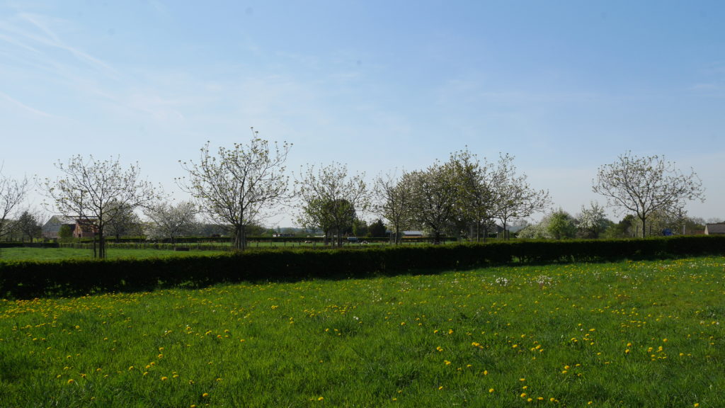 uitzicht Ulestraten